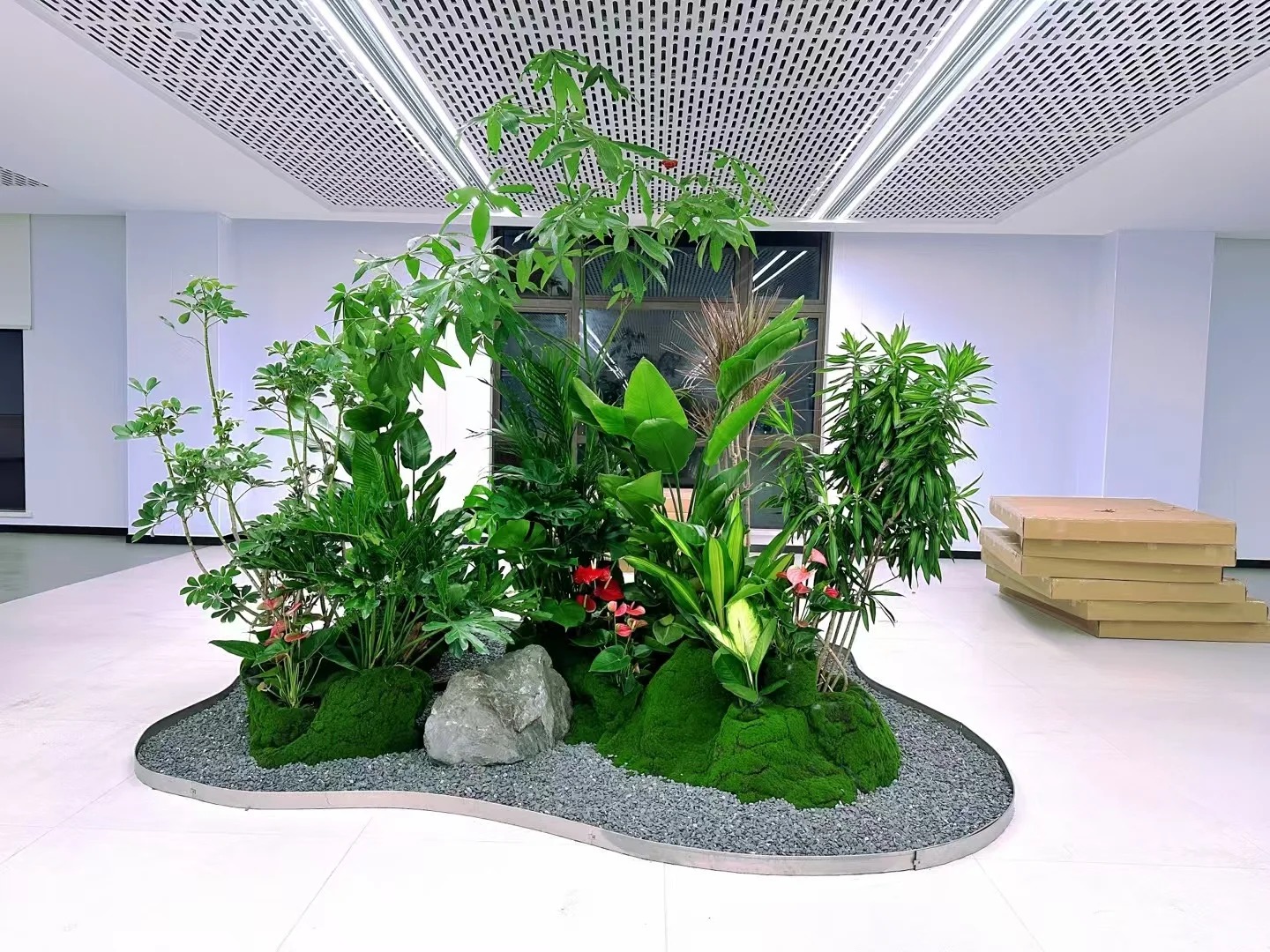 专业植物出租,助力宁波镇海焕发生机